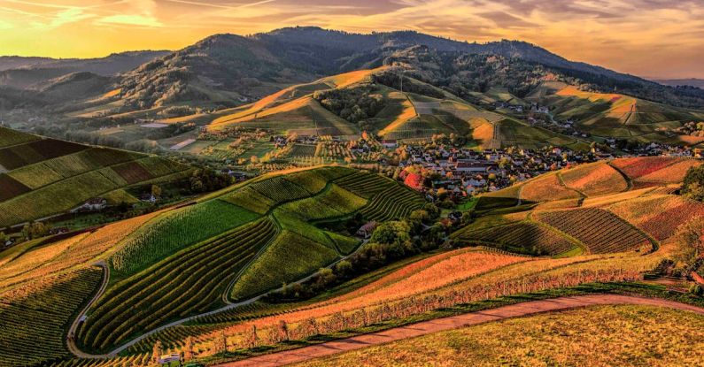 Countryside - Brown and Green Mountain View Photo