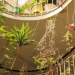 Galleries - Potted Plants on Interior Balconies of a Residential Building