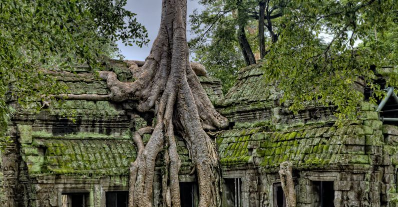 Heritage - Building With Tree